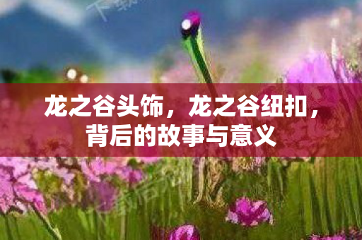 龙之谷头饰，龙之谷纽扣，背后的故事与意义