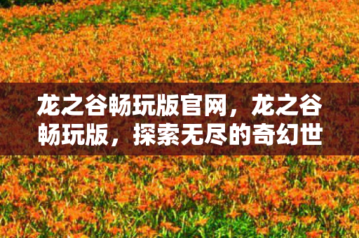 龙之谷畅玩版官网,龙之谷畅玩版,探索无尽的奇幻世界 龙之谷畅玩版官网,龙之谷畅玩版,探索无尽的奇幻世界