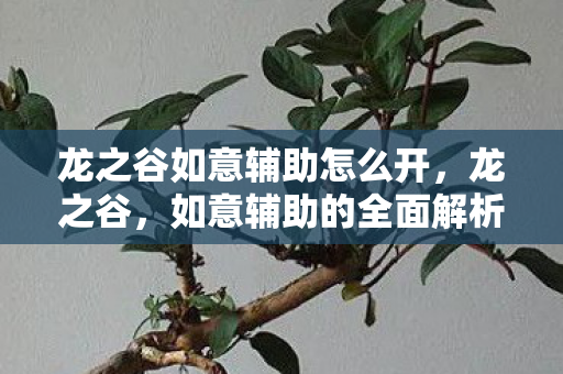 龙之谷如意辅助怎么开,龙之谷,如意辅助的全面解析 龙之谷如意辅助怎么开,龙之谷,如意辅助的全面解析