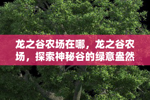 龙之谷农场在哪,龙之谷农场,探索神秘谷的绿意盎然 龙之谷农场在哪,龙之谷农场,探索神秘谷的绿意盎然