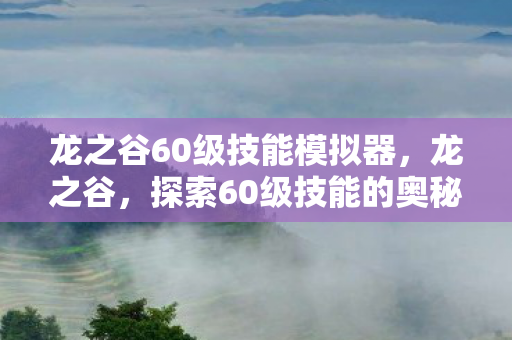 龙之谷60级技能模拟器，龙之谷，探索60级技能的奥秘