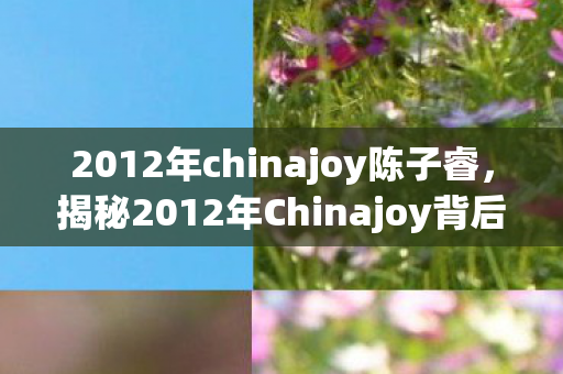 2012年chinajoy陈子睿，揭秘2012年Chinajoy背后的故事，一场游戏界的盛宴与未来展望