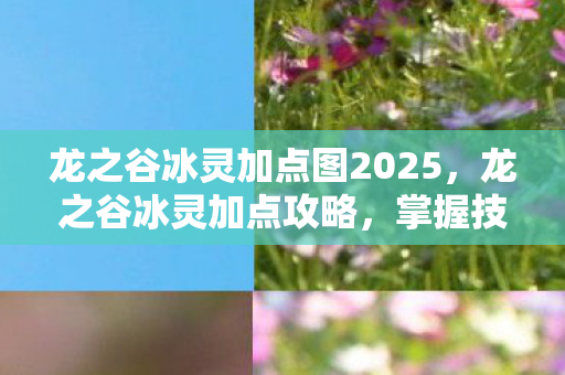 龙之谷冰灵加点图2025，龙之谷冰灵加点攻略，掌握技能，成为巅峰玩家