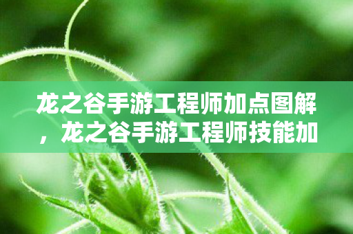 龙之谷手游工程师加点图解,龙之谷手游工程师技能加点攻略 龙之谷手游工程师加点图解,龙之谷手游工程师技能加点攻略