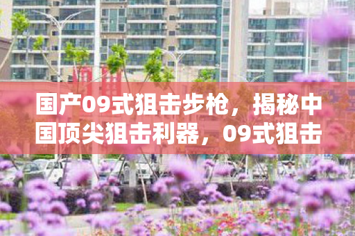 国产09式狙击步枪,揭秘中国顶尖狙击利器,09式狙击步枪的卓越性能与独特魅力 国产09式狙击步枪,揭秘中国顶尖狙击利器,09式狙击步枪的卓越性能与独特魅力
