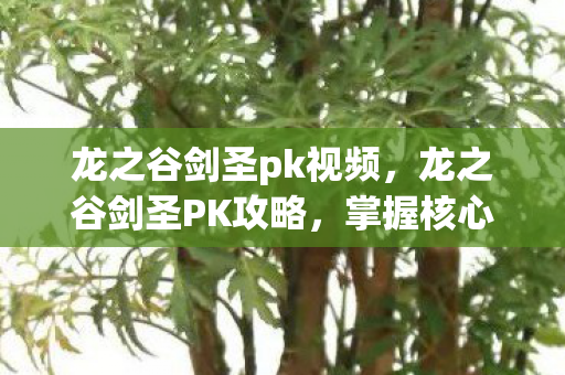 龙之谷剑圣pk视频,龙之谷剑圣PK攻略,掌握核心技巧,成为战场霸主 龙之谷剑圣pk视频,龙之谷剑圣PK攻略,掌握核心技巧,成为战场霸主