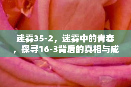 迷雾35-2,迷雾中的青春,探寻16-3背后的真相与成长之路 迷雾35-2,迷雾中的青春,探寻16-3背后的真相与成长之路