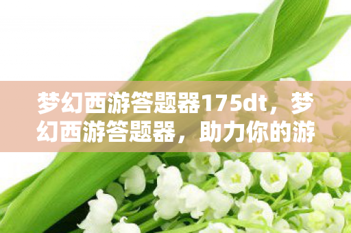 梦幻西游答题器175dt，梦幻西游答题器，助力你的游戏智慧与乐趣共生