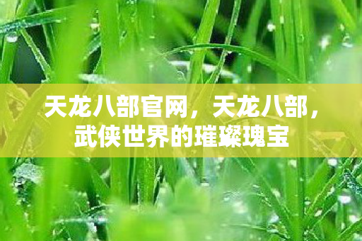 天龙八部官网,天龙八部,武侠世界的璀璨瑰宝 天龙八部官网,天龙八部,武侠世界的璀璨瑰宝