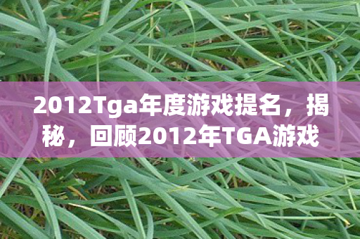 2012Tga年度游戏提名，揭秘，回顾2012年TGA游戏盛典的历史时刻