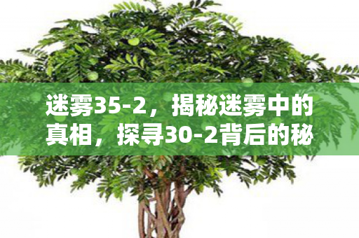 迷雾35-2，揭秘迷雾中的真相，探寻30-2背后的秘密故事