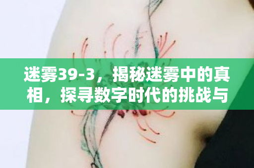 迷雾39-3,揭秘迷雾中的真相,探寻数字时代的挑战与机遇—以数字33与数字时代背景下的挑战为例 迷雾39-3,揭秘迷雾中的真相,探寻数字时代的挑战与机遇—以数字33与数字时代背景下的挑战为例