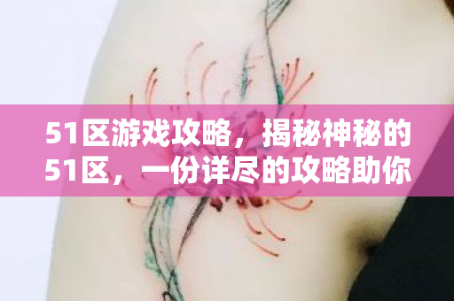 51区游戏攻略，揭秘神秘的51区，一份详尽的攻略助你探索未知之地