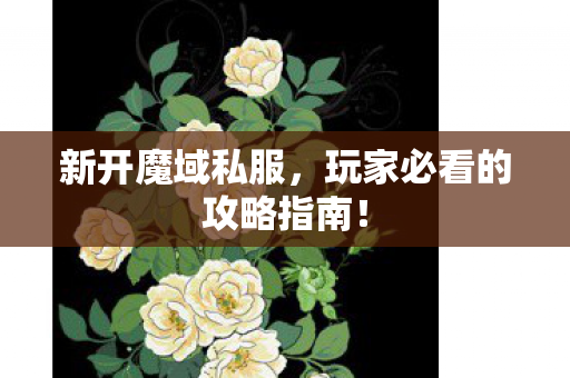 新开魔域私服，玩家必看的攻略指南！