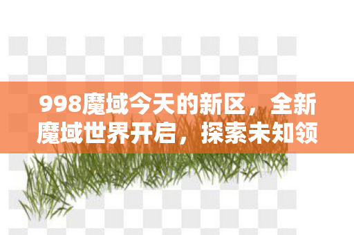 998魔域今天的新区，全新魔域世界开启，探索未知领域，开启冒险之旅