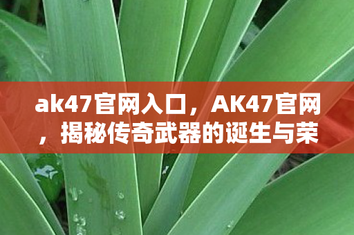 ak47官网入口,AK47官网,揭秘传奇武器的诞生与荣耀历程 ak47官网入口,AK47官网,揭秘传奇武器的诞生与荣耀历程