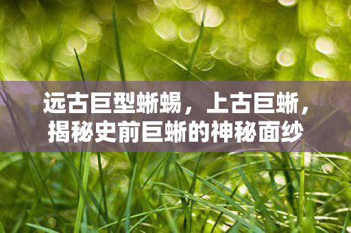 远古巨型蜥蜴,上古巨蜥,揭秘史前巨蜥的神秘面纱 远古巨型蜥蜴,上古巨蜥,揭秘史前巨蜥的神秘面纱