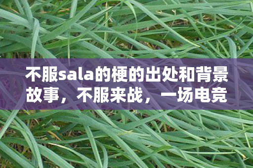 不服sala的梗的出处和背景故事,不服来战,一场电竞的荣耀与挑战 不服sala的梗的出处和背景故事,不服来战,一场电竞的荣耀与挑战