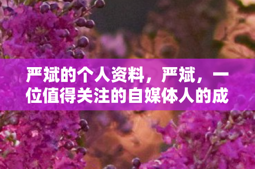 严斌的个人资料,严斌,一位值得关注的自媒体人的成长之路 严斌的个人资料,严斌,一位值得关注的自媒体人的成长之路