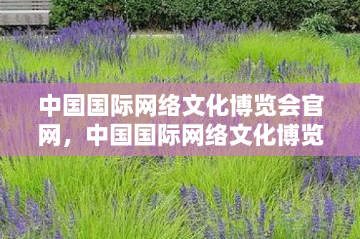 中国国际网络文化博览会官网,中国国际网络文化博览会,数字时代的文化盛宴 中国国际网络文化博览会官网,中国国际网络文化博览会,数字时代的文化盛宴