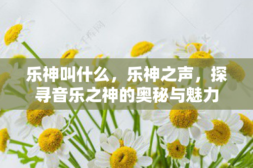 乐神叫什么,乐神之声,探寻音乐之神的奥秘与魅力 乐神叫什么,乐神之声,探寻音乐之神的奥秘与魅力