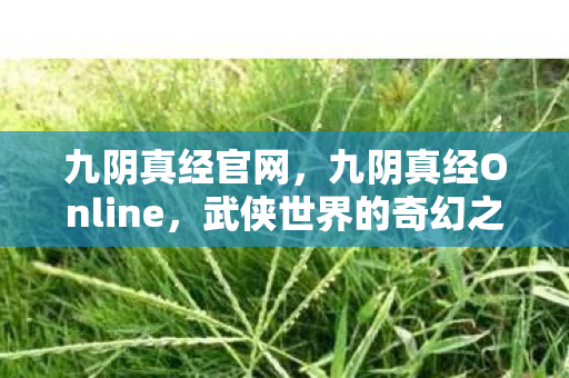 九阴真经官网,九阴真经Online,武侠世界的奇幻之旅 九阴真经官网,九阴真经Online,武侠世界的奇幻之旅