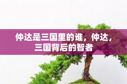 仲达是三国里的谁,仲达,三国背后的智者 仲达是三国里的谁,仲达,三国背后的智者