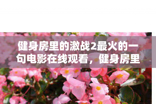 健身房里的激战2最火的一句电影在线观看,健身房里的激战,从银幕到现实,我们如何被激励前行 健身房里的激战2最火的一句电影在线观看,健身房里的激战,从银幕到现实,我们如何被激励前行