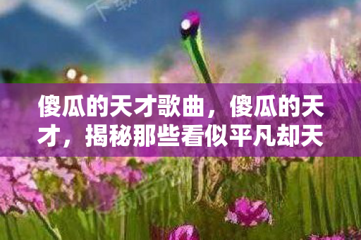 傻瓜的天才歌曲,傻瓜的天才,揭秘那些看似平凡却天赋异禀的人的故事 傻瓜的天才歌曲,傻瓜的天才,揭秘那些看似平凡却天赋异禀的人的故事