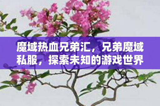 魔域热血兄弟汇，兄弟魔域私服，探索未知的游戏世界