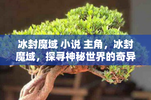 冰封魔域 小说 主角,冰封魔域,探寻神秘世界的奇异之旅 冰封魔域 小说 主角,冰封魔域,探寻神秘世界的奇异之旅