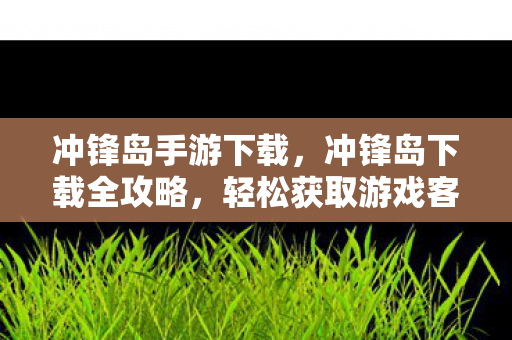 冲锋岛手游下载,冲锋岛下载全攻略,轻松获取游戏客户端,开启冒险之旅 冲锋岛手游下载,冲锋岛下载全攻略,轻松获取游戏客户端,开启冒险之旅