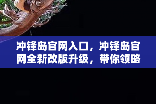 冲锋岛官网入口，冲锋岛官网全新改版升级，带你领略全新游戏世界！