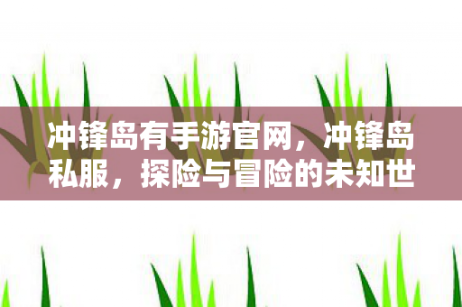 冲锋岛有手游官网，冲锋岛私服，探险与冒险的未知世界