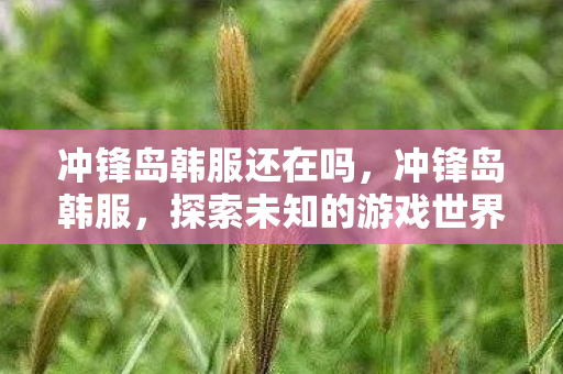 冲锋岛韩服还在吗，冲锋岛韩服，探索未知的游戏世界