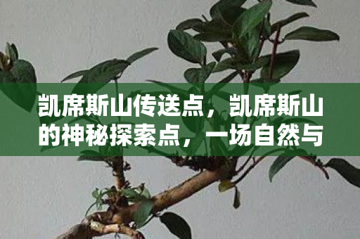 凯席斯山传送点,凯席斯山的神秘探索点,一场自然与冒险的邂逅 凯席斯山传送点,凯席斯山的神秘探索点,一场自然与冒险的邂逅