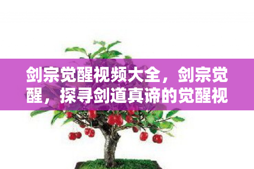 剑宗觉醒视频大全,剑宗觉醒,探寻剑道真谛的觉醒视频 剑宗觉醒视频大全,剑宗觉醒,探寻剑道真谛的觉醒视频