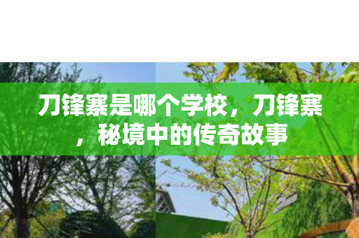 刀锋寨是哪个学校，刀锋寨，秘境中的传奇故事