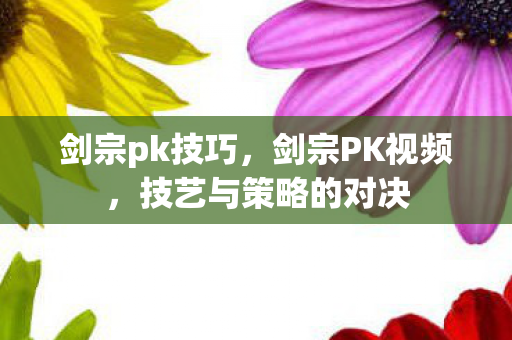 剑宗pk技巧,剑宗PK视频,技艺与策略的对决 剑宗pk技巧,剑宗PK视频,技艺与策略的对决