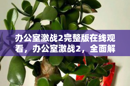 办公室激战2完整版在线观看,办公室激战2,全面解析与深度体验 办公室激战2完整版在线观看,办公室激战2,全面解析与深度体验