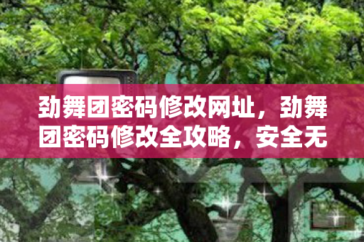 劲舞团密码修改网址,劲舞团密码修改全攻略,安全无忧,轻松操作 劲舞团密码修改网址,劲舞团密码修改全攻略,安全无忧,轻松操作