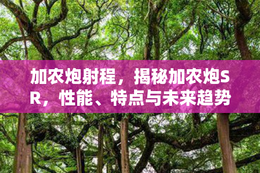 加农炮射程,揭秘加农炮SR,性能、特点与未来趋势 加农炮射程,揭秘加农炮SR,性能、特点与未来趋势