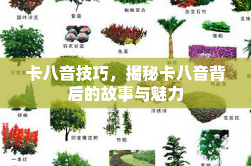 卡八音技巧，揭秘卡八音背后的故事与魅力