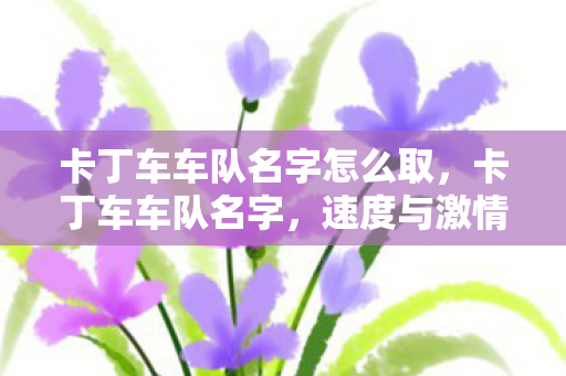 卡丁车车队名字怎么取,卡丁车车队名字,速度与激情的汇聚地 卡丁车车队名字怎么取,卡丁车车队名字,速度与激情的汇聚地