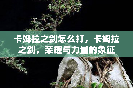 卡姆拉之剑怎么打,卡姆拉之剑,荣耀与力量的象征 卡姆拉之剑怎么打,卡姆拉之剑,荣耀与力量的象征