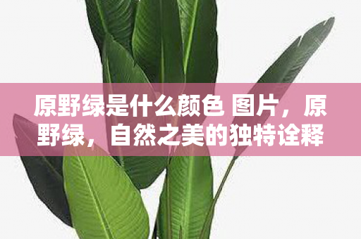 原野绿是什么颜色 图片,原野绿,自然之美的独特诠释 原野绿是什么颜色 图片,原野绿,自然之美的独特诠释