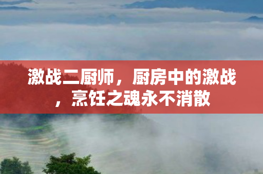 激战二厨师，厨房中的激战，烹饪之魂永不消散