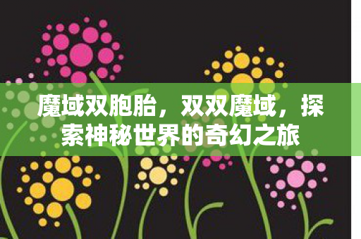 魔域双胞胎，双双魔域，探索神秘世界的奇幻之旅