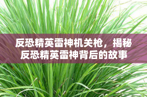 反恐精英雷神机关枪，揭秘反恐精英雷神背后的故事