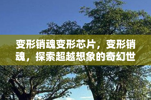 变形销魂变形芯片,变形销魂,探索超越想象的奇幻世界 变形销魂变形芯片,变形销魂,探索超越想象的奇幻世界